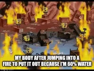 Don't have enough karma to post anywhere else