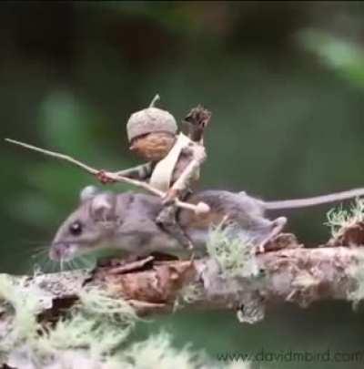 Delightful! Enchanting! I love everything about this..