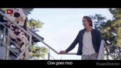 this was a horrible idea