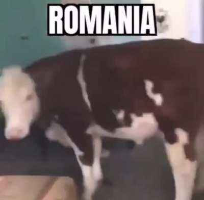 Cuaie, ce face maica-ta la mine in casa ba?