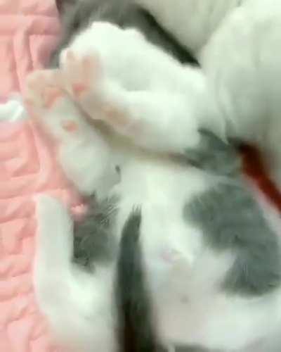 try to hold back the tears , so sweetly def