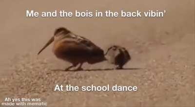 We aren’t weird . . . We’re just vibin’ fam