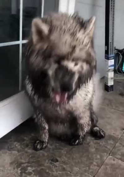 The apple doesn't fall far from the tree!