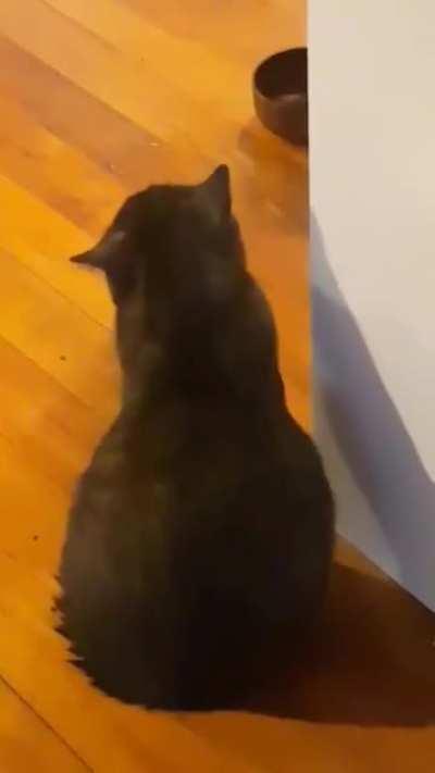 Jealous little quacks