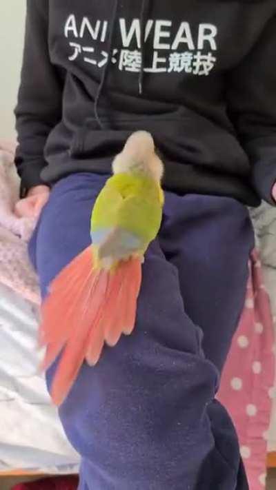 He'll never give you up