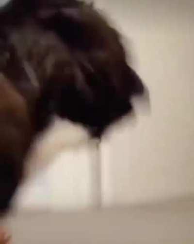 Did you say something?