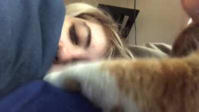 Fat Orange Bastard Taps