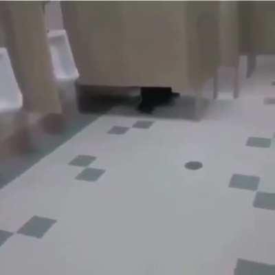 my tummy did a hurty😢