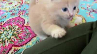 Criminal practicing his attack skillz