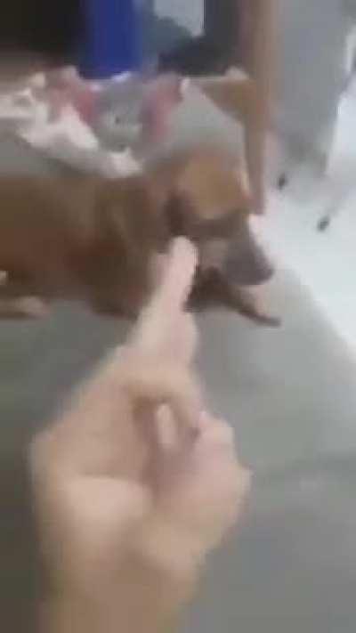 ChratosGameplay - Video #1797