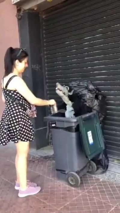 Ok, I'm impressed with this street performer in Santiago, Mexico