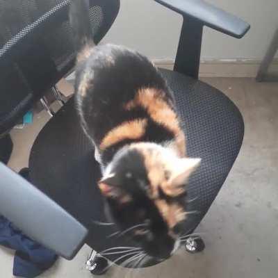 She does this every time I wake up