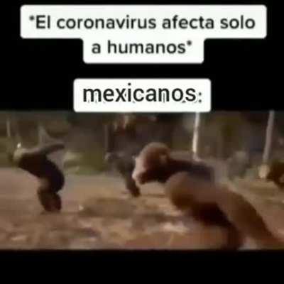 BeelcitosMemes - Video #0682