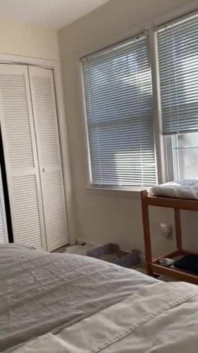 Maybe time for a diet for this Chonker....