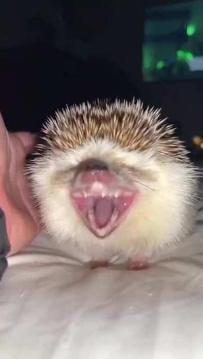 Not sure if cute or kinda scary