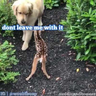 take me to your leasher