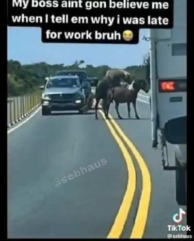 Quandale Dingle was in Romania💀💀💀💀