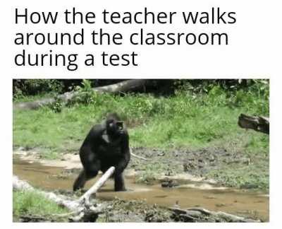 Teachers can be weird