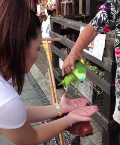 Don't mind if I make myself comfortable