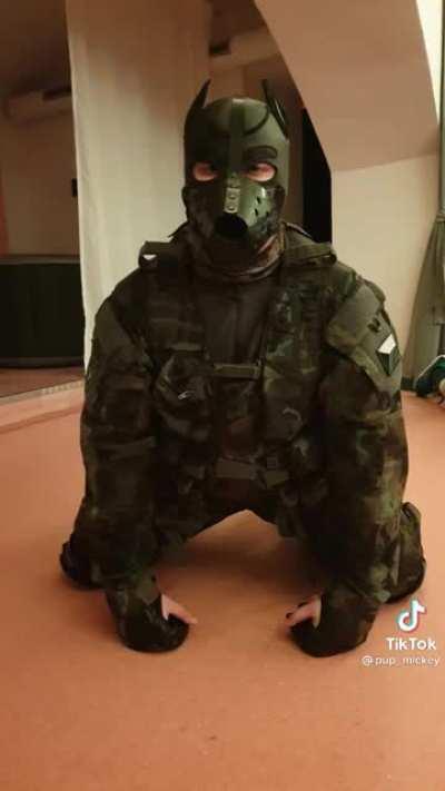 Military dogs ain't shit anymore