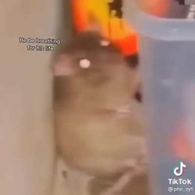 Tiis tiis lang hahahaha