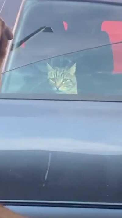 Abort. I've been made...