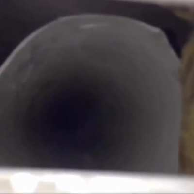 P   O   O   T   I   S