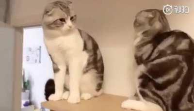 How to win an argument?