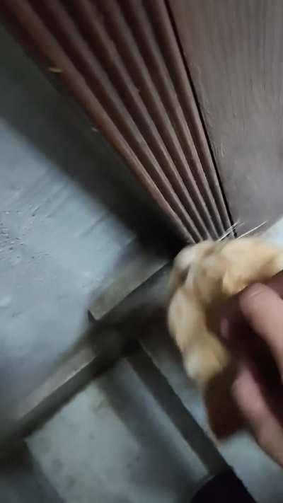 Santras come in two modes