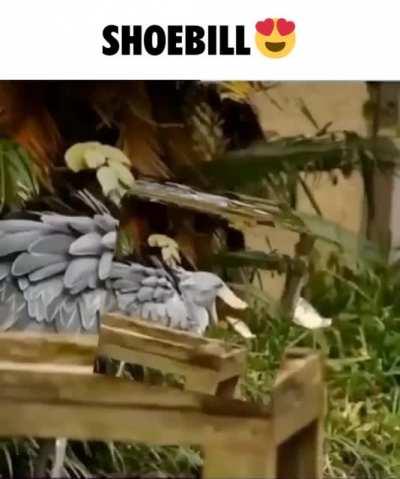 i am down to only 300 dollars. i really hope i hit it big soon. i miss my family