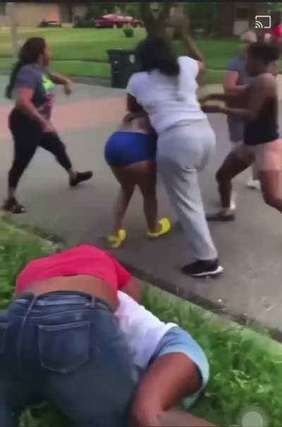 Good Morning Neighborhood !!