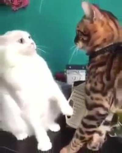 arrependimento instantâneo