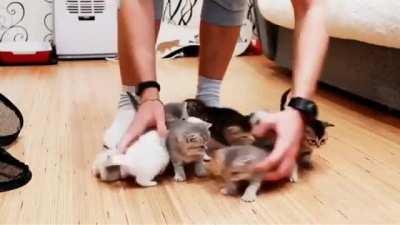 Visual representation of a DM steering players