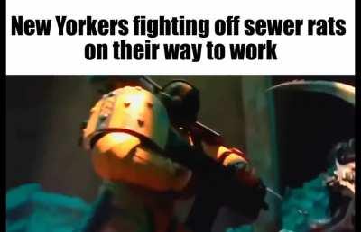 Rat yorker be fighting for their lives