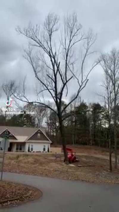 Chainsaw +50 wood and sticks +efficiency -requires 5 fuel points