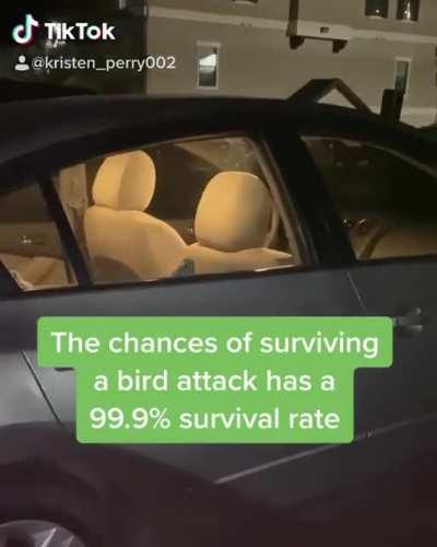 Drone comes to assassinate man who knows the truth