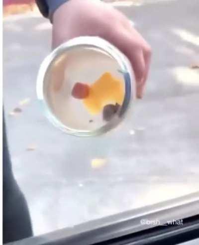 This little fucking mouse