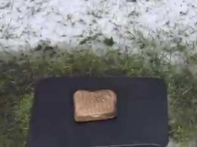 Сколько счастья в одном видео