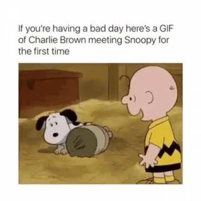 I too want me someone who loves me as much as Charlie loves Snoopy. (