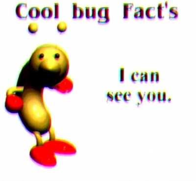 COOL BUG FACT'S