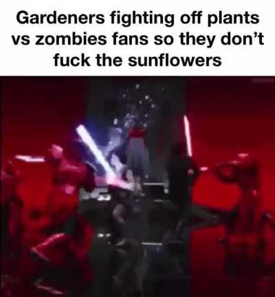 They will not touch the flowers