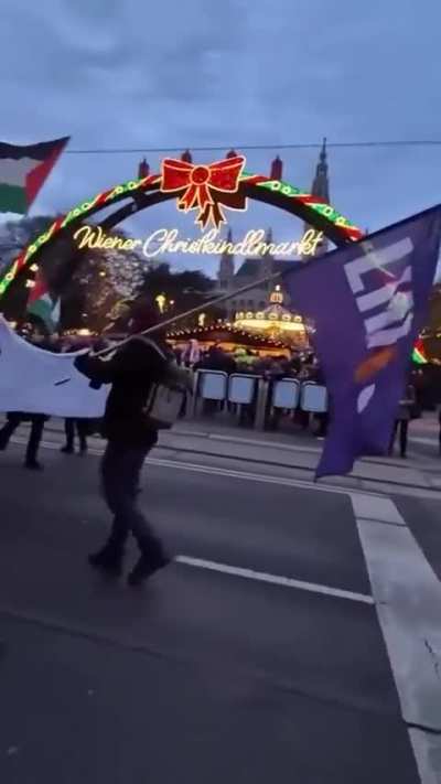 Large protest at the opening of Vienna's famous Christmas Market against European support of genocide in Gaza