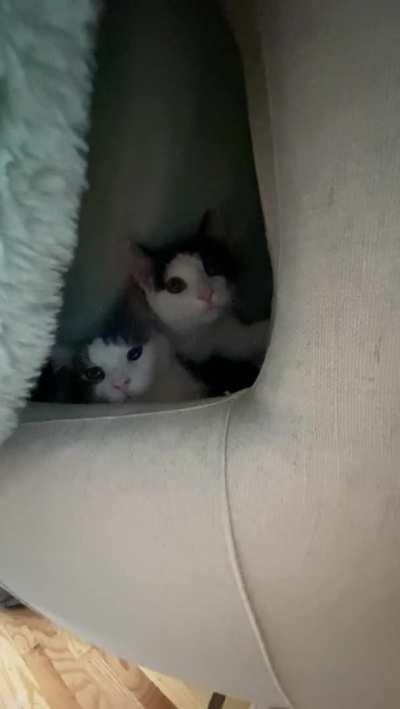 You know it’s cold when...