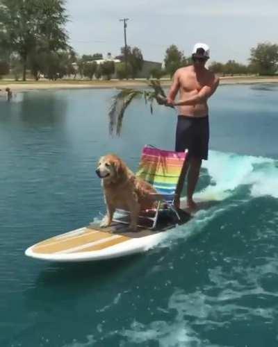 Make way for the King!