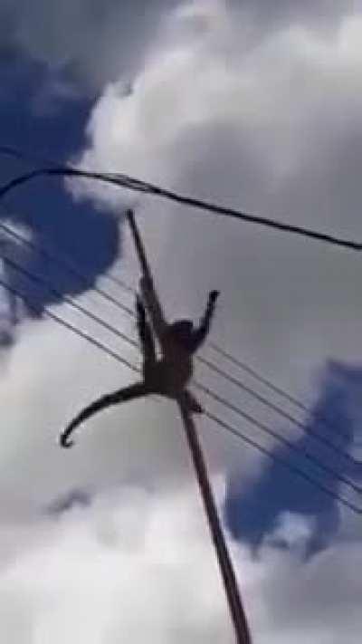 The poor monkey tho...