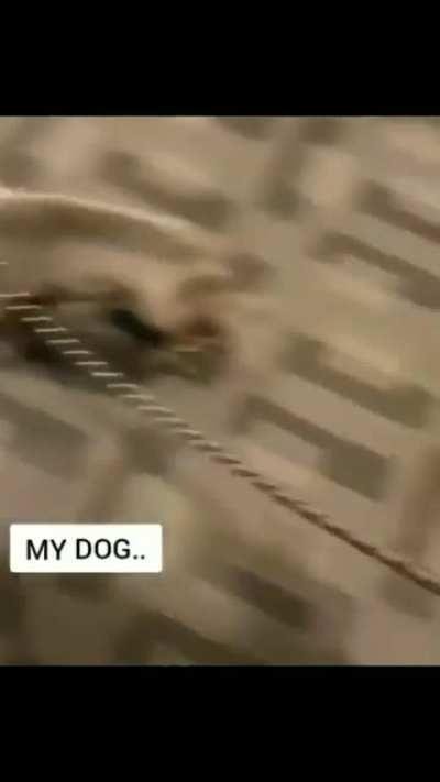 Why Do You Hate Me So Much!!