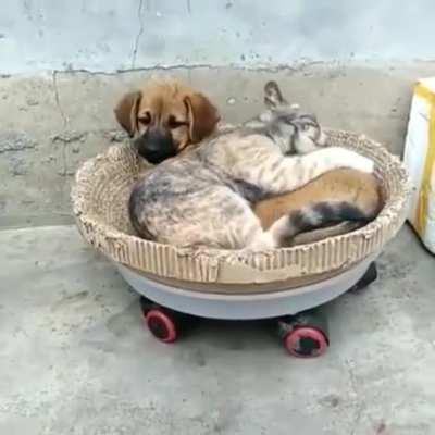 Спокойный сон