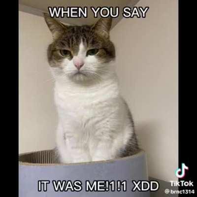 I am going to kill your family 