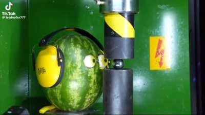 A watermelon fucking dies