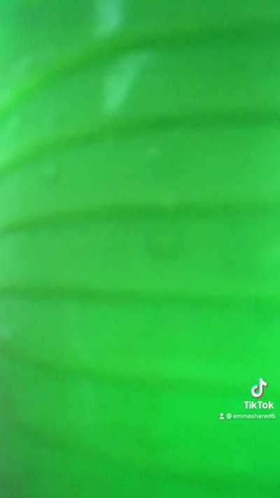 65% off Sunday Funday 🥂